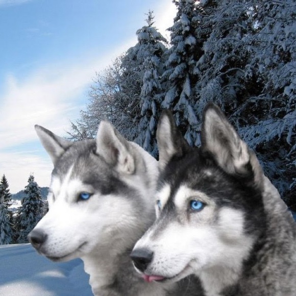 Meet your Posher, Cyndy - Picture 1 of 1